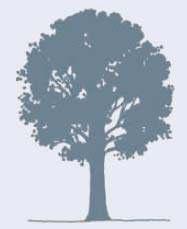tree types and their appropriateness within