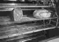 To advance the racks with the Meat Doors open, press the UP arrow button or step on the rotisserie advance foot pedal until the racks advance to the next position. 3.