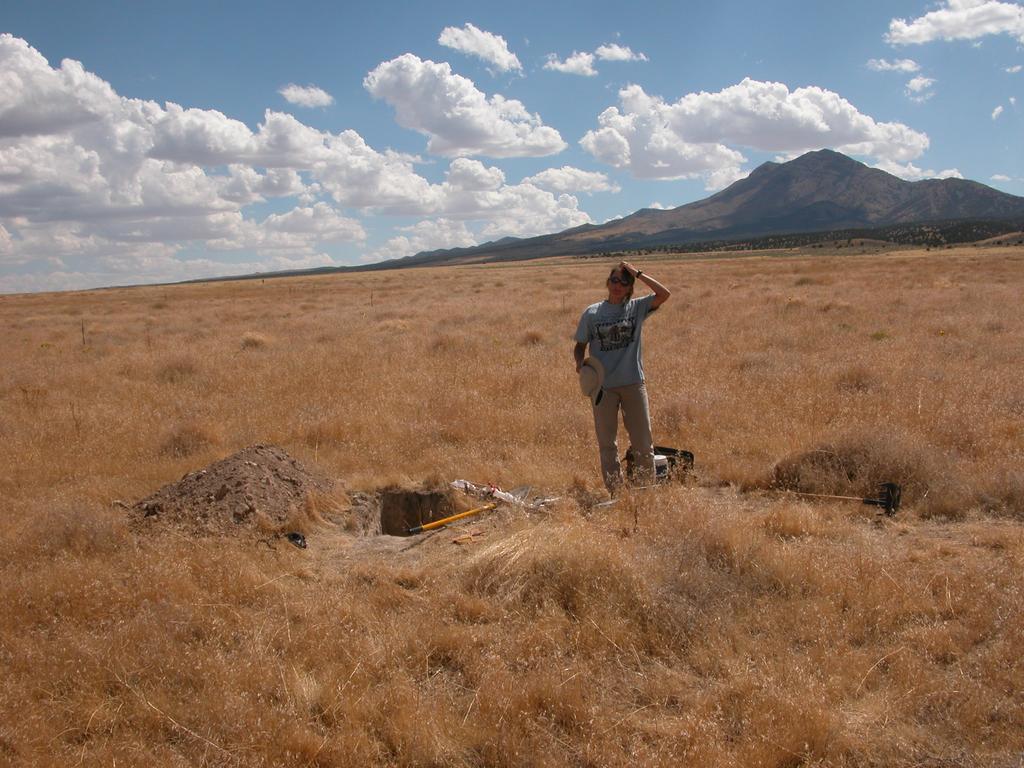 CONVERTED: SHRUBS ARE GONE Cheatgrass monocultures cover most previous sagebrush steppe in the Great Basin;