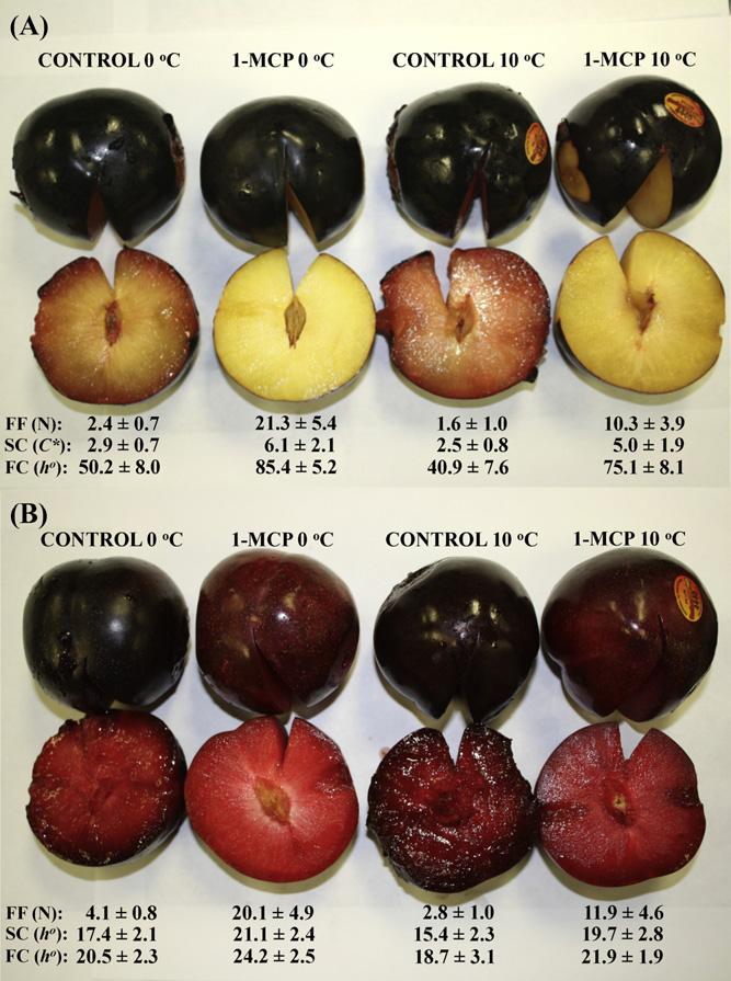 I.S. Minas et al. / Postharvest Biology and Technology 7 (13) 1 9 5 Table Estimation of days needed by Blackamber and Red Lane plums, untreated or treated with 1-MCP (.