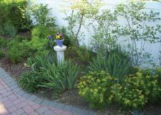 everyone can use to reduce runoff and help protect our water resources. Beyond the aesthetic and ecological benefits, rain gardens encourage environmental stewardship and community pride.