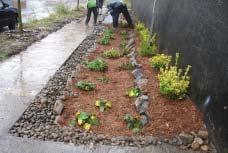 To a certain extent, a traditional landscaped bed or flower garden can provide functions similar to a rain garden.