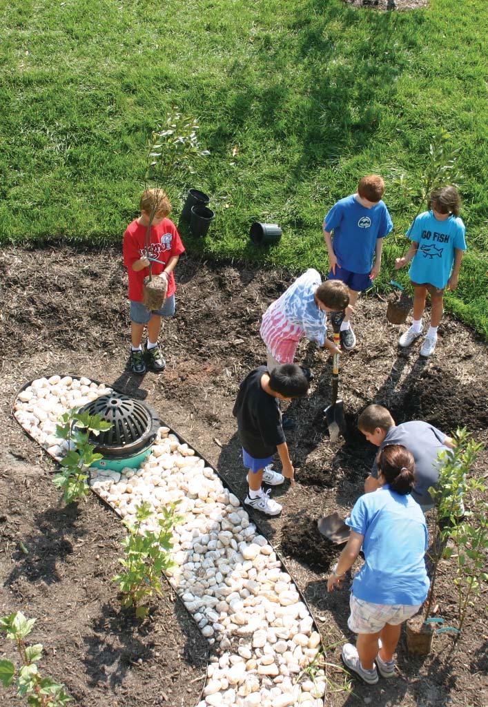 16 How to Begin Goals & Strategies Setting goals and strategies will help guide you through the process of building a rain garden.