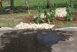 Divert the water to the rain garden using a PVC pipe and fittings and/or a corrugated plastic pipe.