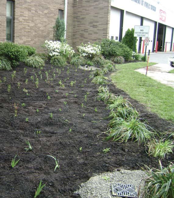 Determining the Inlet and Overflow Stormwater runoff enters the rain garden from an inlet, which can be an extended gutter, a stone or concrete spillway, a vegetated or stone-lined swale, a diversion
