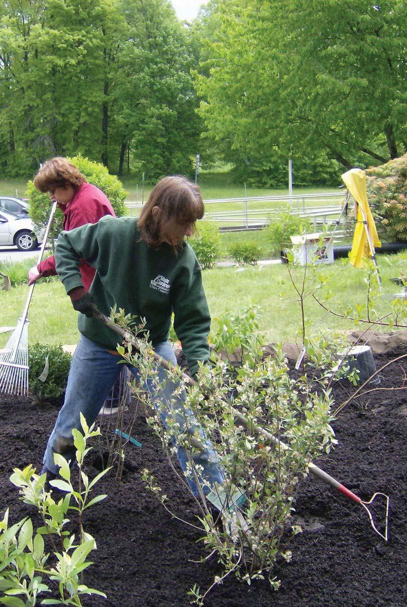 Maintaining Your Rain Garden Initial Things to Consider A rain garden will not require as much care as a lawn area but will need some maintenance to ensure long-term success.