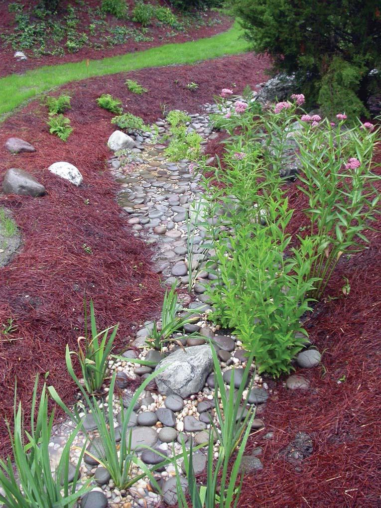 Welcome! The Rutgers Cooperative Extension Water Resources Program and the Native Plant Society of New Jersey are excited to share this Rain Garden Manual with you.