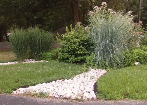 8 3 KEY POINTS: A Rain Garden should: Reduce Runoff Recharge Groundwater Use Native Plants Introduction Why a Rain Garden?