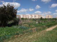 allotment garden of Spain.