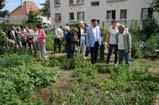 AUPA PROJECT: NEW FORMS OF URBAN AGRICULTURE FOR ACCESS TO SUSTAINABLE FOOD AND JOBS Urban agriculture: growing