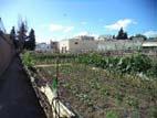 > New types of allotment gardens (closer to urban centers, at the footstep of buildings, various sizes of plots