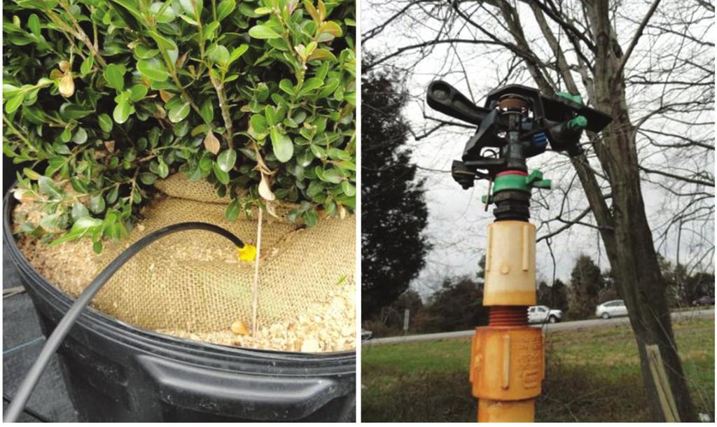 Figure 6. Clean and sanitize boots between hoop houses and productions fields. b. Residual host plant debris that is too small/ fine to be raked or vacuumed can be burned on-site with an agricultural flamer.