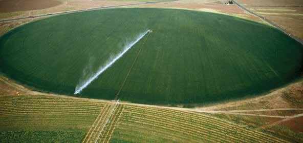 Irrigation Irrigation pumps play an essential role in converting arid land into agriculturally