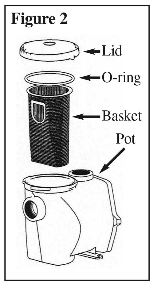 THE PUMP STRAINER BASKET This unit, sometimes referred to as the Hair and Lint Trap, is the unit in front of the volute.