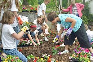 Youth Garden Clubs