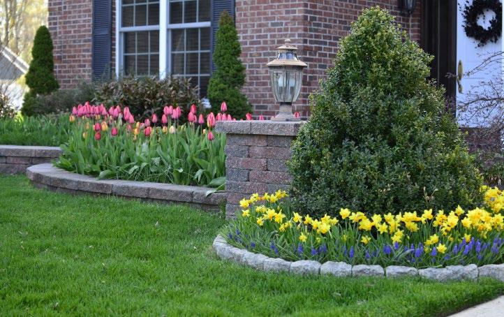 Curb Appeal Increase the beauty of your home s
