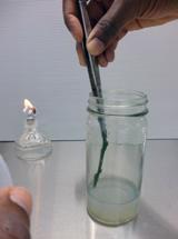 15. Place the budstick vertically into the test tube or jar introducing the basal