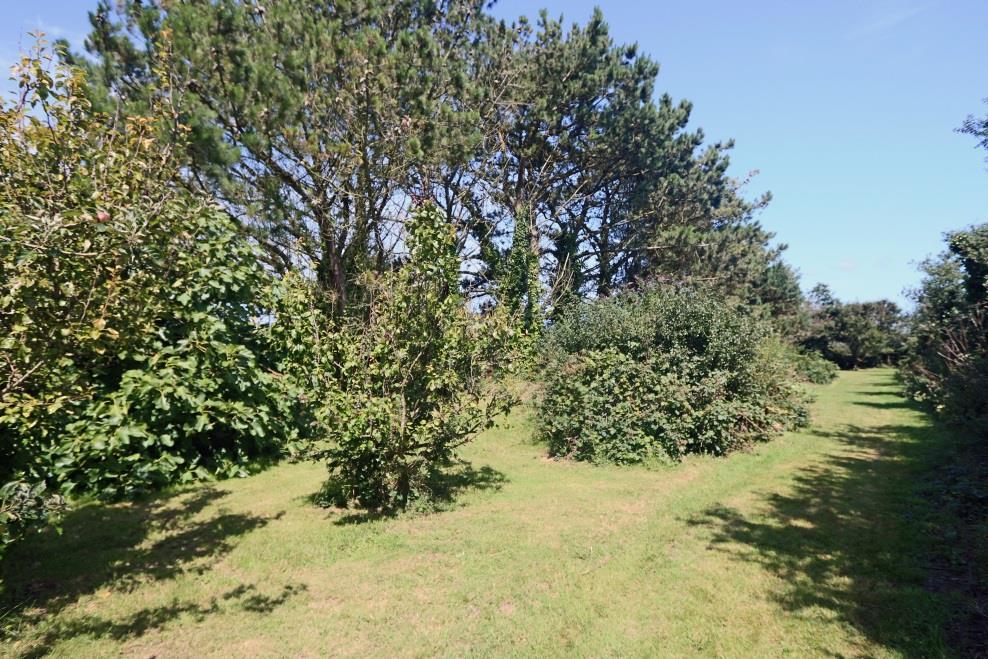Roughly halfway down the field is an orchard with several fruit trees including apples, pears, peaches