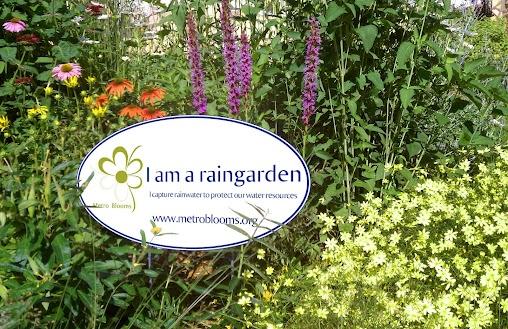 Rain Gardens The ERC supported the development and maintenance of raingardens throughout the City through the following activities: Metro Blooms Speaker on May 13 th Grants for Rain Garden projects
