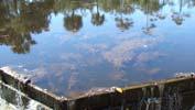 Stormwater Ponds Maintenance Developer to homeowner Who, what,