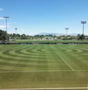 Other highlights include our UA Grounds Department developing an