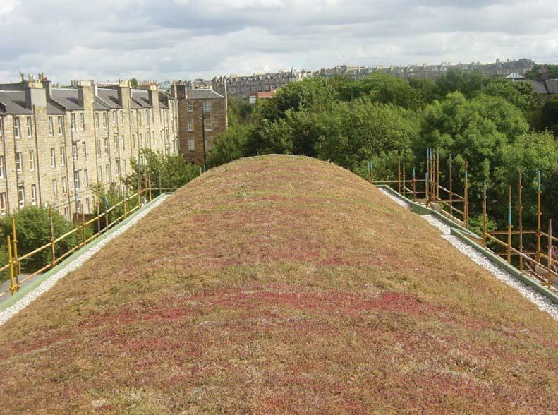 Typical Sedum extensive green roof application The use of Sedum roofing has additional benefits in that the roof covering will act to improve the acoustic, thermal and fire performance of the roof.