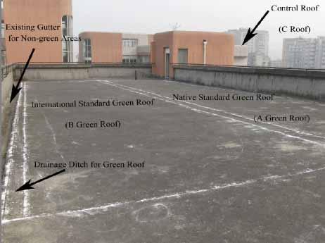 Layout of Green Roofs Two green roof experimental segments were constructed on a