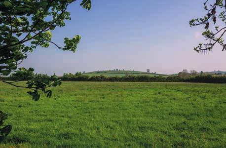 General Method of sale: Fieldside Farm is offered for sale as a whole by private treaty subject to the leases, licenses and agreements outlined in these particulars.