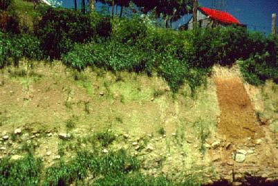 Soils as a Cosmic Experience - Evidence