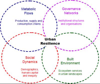 Urban Resilience Great Lakes Ecosystem