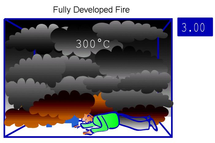 Figure 2.6: The fully developed fire. Fire Precautions Fire in an enclosure can be controlled by either passive or active fire precautions.