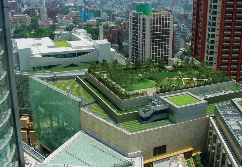 Why Green Roofs?