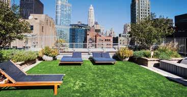Extensive green roofs provide attractive protection to the waterproof membrane and significantly reduce water run-off.