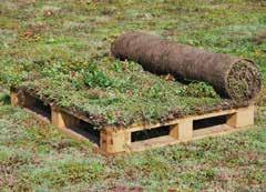 Urbanscape Green Roll ensures excellent water retention and conservation in green roofs and is a good growing medium removing the need for traditional soil substrates.