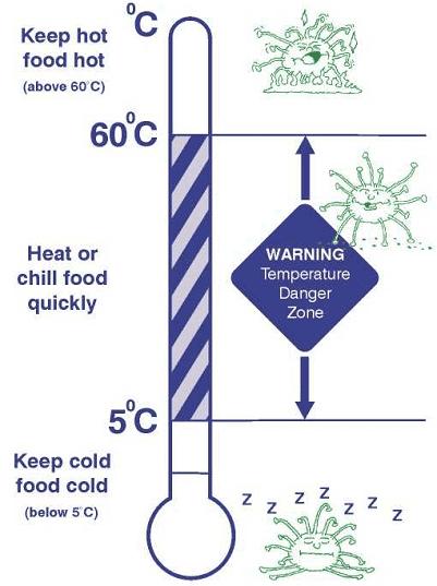 Keeping Hot Food Hot and Cold Food Cold Bacteria die Avoid keeping food in