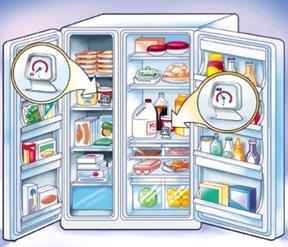 Food Safety Storing Food Tips: Label food. Check expiration dates. Keep out of the temperature Danger Zone (5 o C-60 o C).