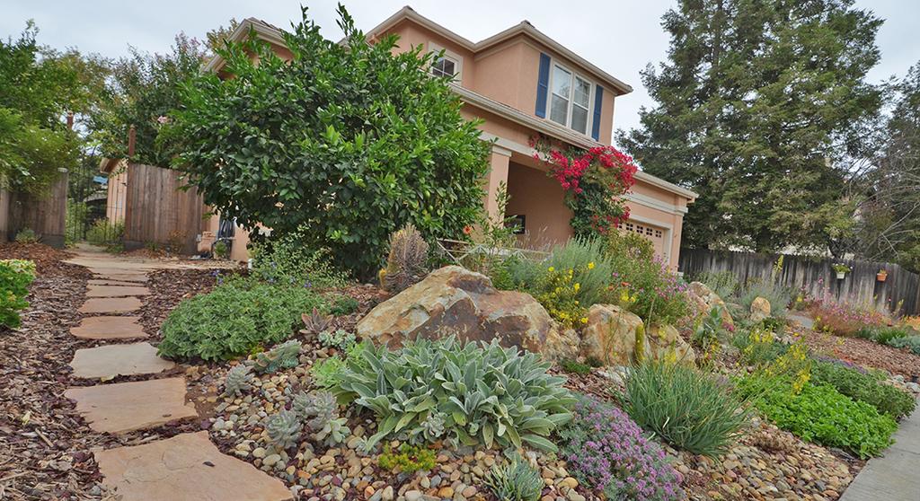 Life After Lawn Local Water-Wise Landscapes View "Life After Lawn" Davis homes, like the one