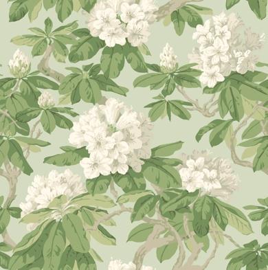 99/3012 99/3013 99/3014 99/3015 99/3016 99/3017 99/3018 Bourlie A traditionally printed wallpaper featuring a stunning display of rhododendron