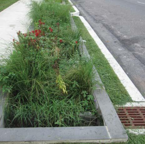 DIVISION 1: INTRODUCTION 1.2.1.3 STORMWATER PLANTER DESCRIPTION M. Stormwater planters are structural containers that store and manage stormwater runoff.