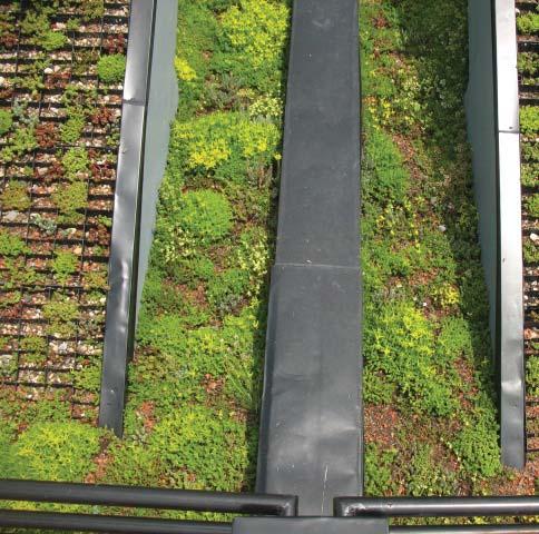 Typically green roofs are comprised of multiple layers, including waterproofi ng, a root barrier, a drainage