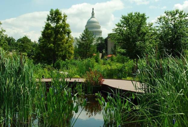 Learning Objectives Design at an Ecodistrict Scale can Change Washington, DC s Landscape Presenters Elizabeth Miller, ASLA, National Capital Planning Commission Diane Sullivan, National Capital