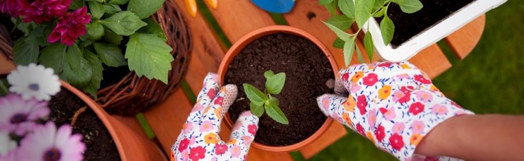 Type of Guide: Flowers & Shrubs Adding compost or a soil improver helps to provide the right growing conditions, which will ensure you achieve bigger and healthier results.
