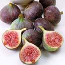 COLD HARDY Figs