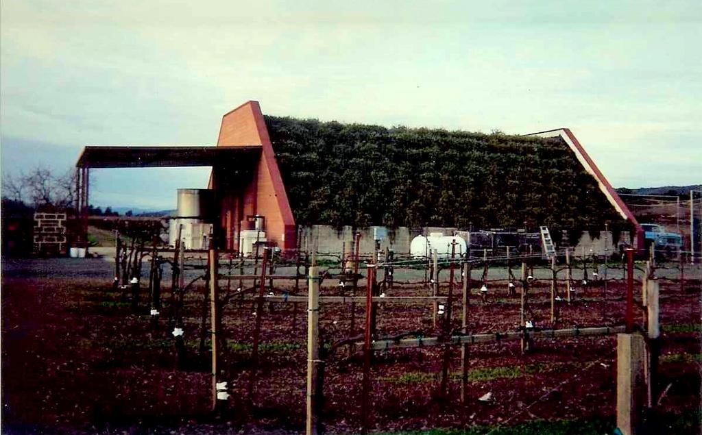 This vineyard located in California