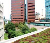 Developed the first lightweight green roof system for pitched roofs. Initiated industry change from traditional rock and gravel roofs to technologically advanced green roof systems.