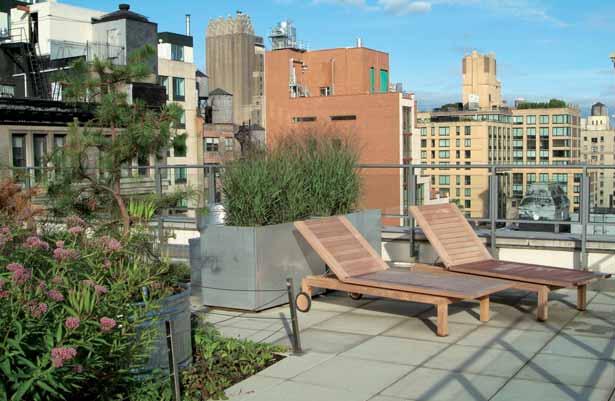 Why Build a Green Roof? Green roofs provide both tangible and intangible benefits to building owners and the general public.