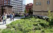 Incorporating green roofs into the urban infrastructure brings the aesthetic beauty of nature back into the city and mitigates a multiplicity of environmental problemes caused by urban heat island
