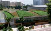 In addition to improving the aesthetic value of their surroundings, green roofs: Reduce Storm Water Runoff Improve Air and Water Quality Insulate Buildings against Solar Radiation Provide Additional