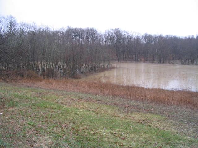 There are few lakes or ponds within the Town. Frothingham Lake, located in the undeveloped Simmons Road Park, is the Town s largest standing water body and measures approximately 4.5 acres in area.