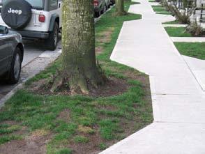 5 All Neighbourhood Arterials shall have sidewalks and street trees on both sides of the right-of-way.